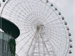 -琴岛之星摩天轮
