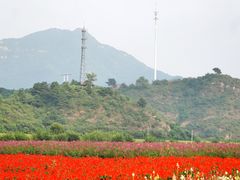 -百里山水画廊