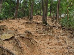 -火炉山森林公园