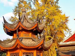 -上海东林寺(金山区)