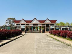 -上海都市菜园