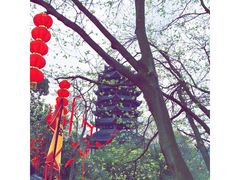 -丰都鬼城名山景区