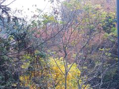 -云碧峰国家森林公园