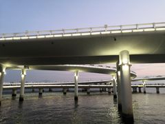 -演武大桥观景平台