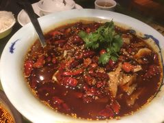 毛血旺-辛香汇(飞洲店)