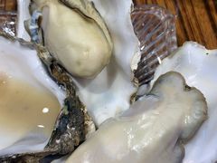 -蚝堡海鲜·威海菜·海肠捞饭·烧烤·亚洲吃蚝公司(幸福门店)