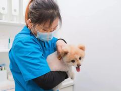 -关爱宠物医院·猫科中心·消化科(滨湖万达分院)