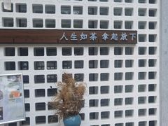 -扫雪煮茶(西村店)