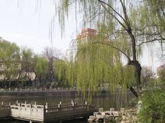-文瀛公园