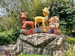 -森波拉奇妙世界