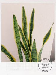 点击看大图 -锦尚名仕Hair Salon