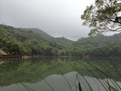 莲花湖-广州市石门国家森林公园