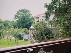 -橘洲1910花园江景西餐厅