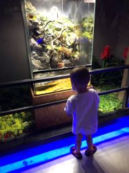 -未来动物城动物主题公园(大悦城店)