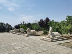 -北京十三陵国家森林公园蟒山景区