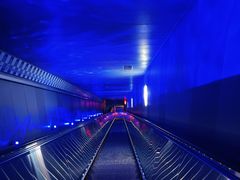 -白鹤梁水下博物馆