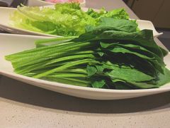 -海底捞火锅(5050购物中心店)