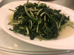 -上海精菜馆(虎踞关店)