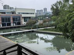 -青枫公园