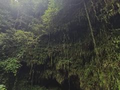 -海口火山口国家地质公园