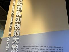 -国家自然博物馆