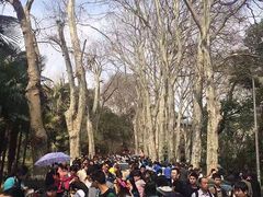-武汉大学-樱园