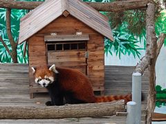 -西霞口神雕山野生动物世界