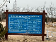 -日照海滨国家森林公园
