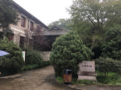 -溪口-滕头旅游景区