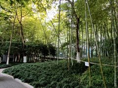 -赭山公园