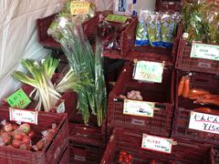 -北海道厅旧本厅舍(旧本庁舎)