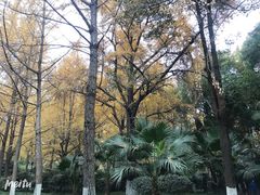 -四川大学(华西校区)