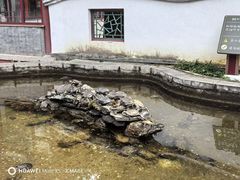-红螺寺