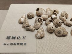 -柳州菜饮食文化博物馆