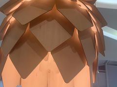 -大丰收脆鱼(浦西万达店)