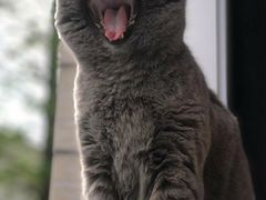 -重庆袁老四火锅(武进万达店)