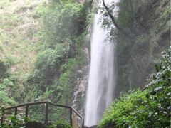 -莫里热带雨林景区
