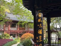 -十八棵（老龙井）御茶园(老龙井店)