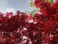 -南园(太仓市)