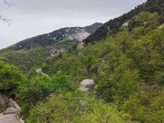 -沂山风景区