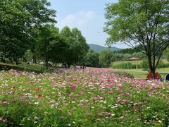 -钟山体育运动公园