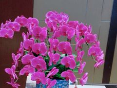-筠咖啡西餐厅(上海国展宝龙丽筠酒店)