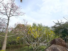 -广州市流溪河国家森林公园