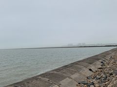-东疆建设开发纪念公园