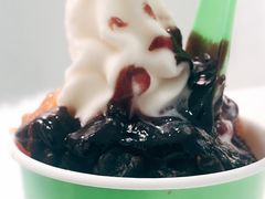 -Salud撒露欧洲冻酸奶(798艺术区店)