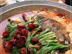 -北平盛世·新京菜·北京烤鸭(劲松·双井店)