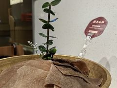 -巴奴毛肚火锅概念餐厅