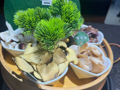 -一善菌·云南菌汤·云南菜(银泰城店)