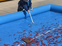 -朝阳公园游乐园