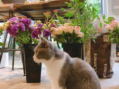 -花十悦·鲜花咖啡餐厅(振业城一期店)